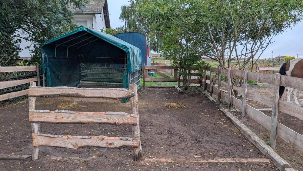 Bauernhaus, Landhaus Simmern/Hunsrück Hunsrück - 445.000&euro; | Angebot:25770278