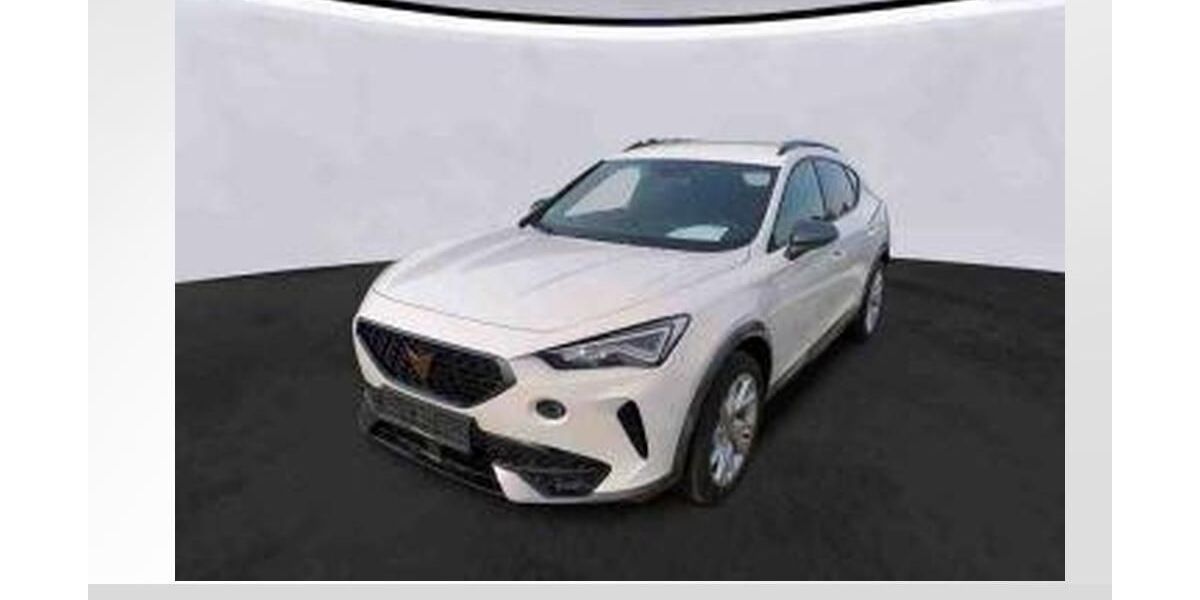 Cupra Formentor 40.163 km 25.840 &euro; Magdeburg 39118