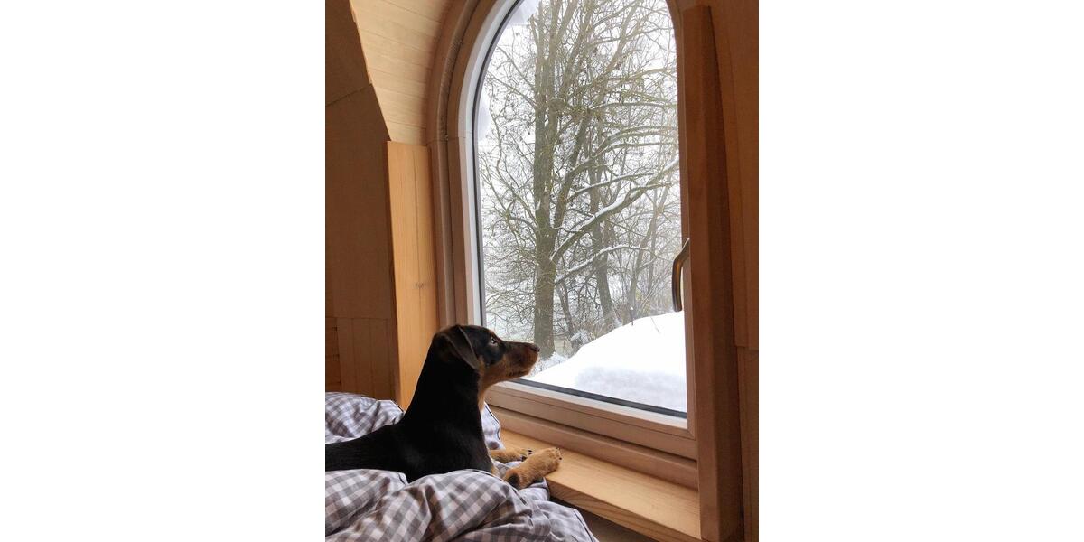 Einfamilienhaus Sigmarszell - 1 Zimmer, 20 m&sup2;, 1.400&euro; | Angebot:26072121