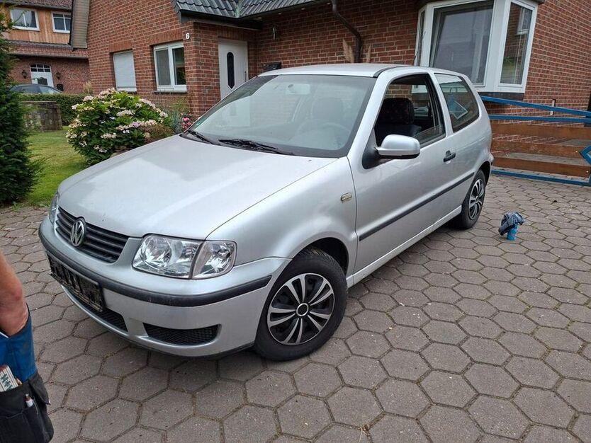 Polo