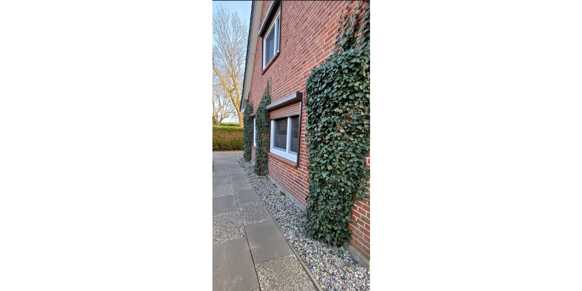 Einfamilienhaus Neufeld 01.04 oder früher zu vermieten 3 zimmer