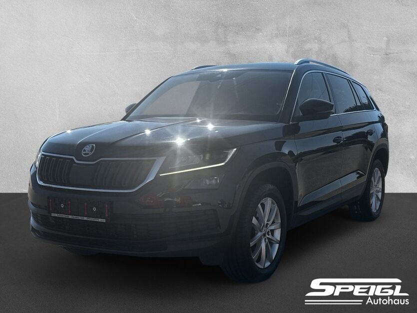 Skoda Kodiaq 122.734 km 27.490 € Chamerau 93466