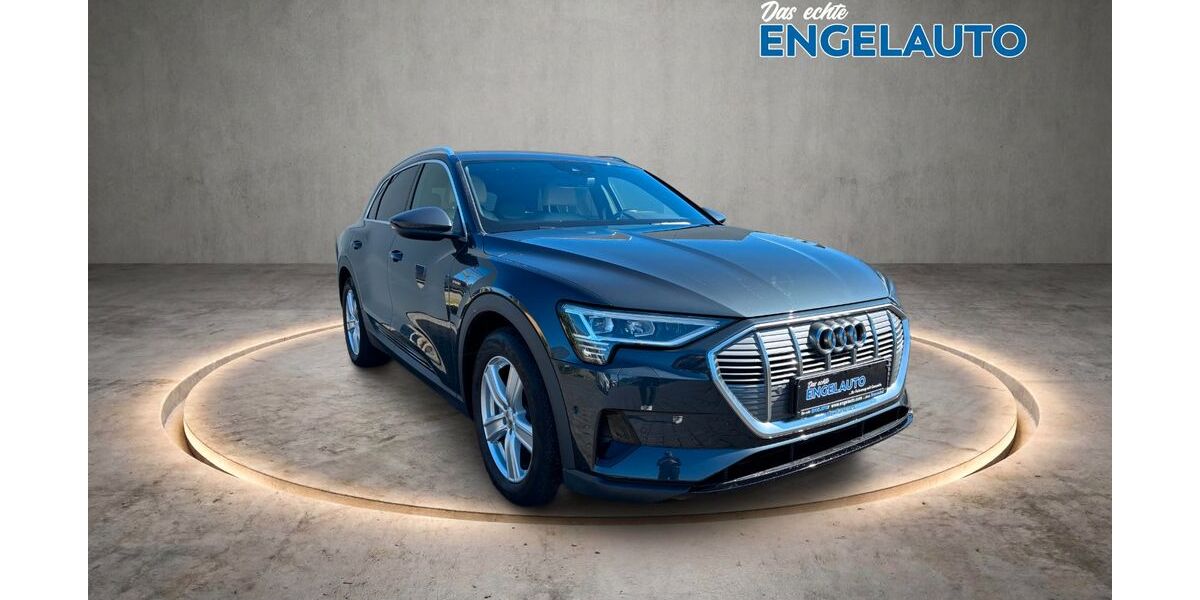 Audi e-tron 112.500 km 24.790 &euro; Bramsche 49565