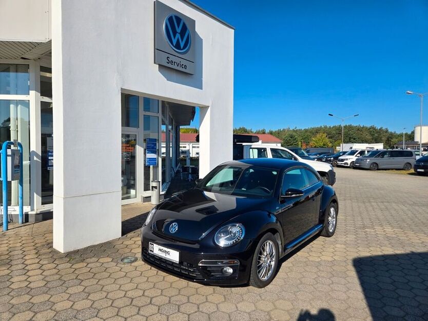 Beetle