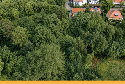 Grundstück Wernigerode - 150.000&euro; | Angebot:27265196