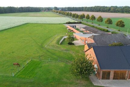 Achtung Pferdehalter. kleiner gepflegter Bauernhof mit gewerblichen Potenzial u. Perspektive - Gewerbeobjekt Eydelstedt | Angebot:24997102