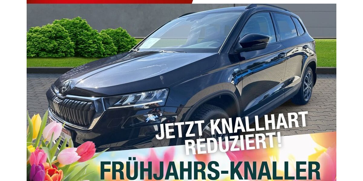 Skoda Karoq 83.500 km 23.370 &euro; Marktredwitz 95615