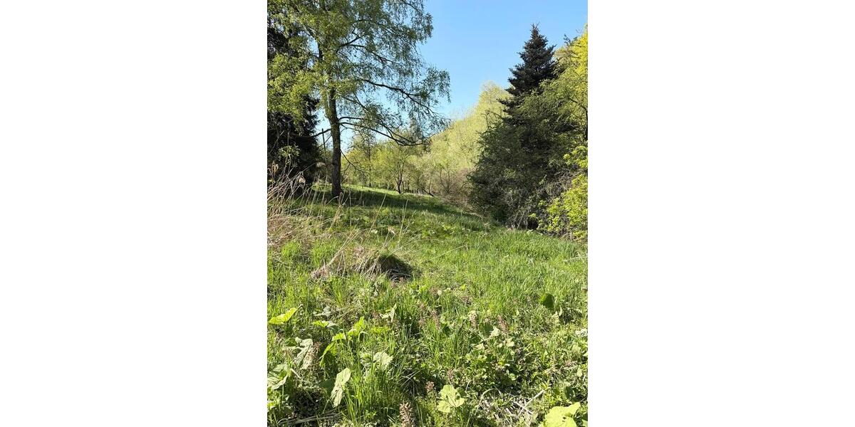 Grundstück Wuppertal Elberfeld - 150&euro; | Angebot:26313073