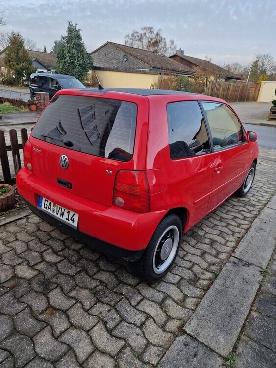 Lupo