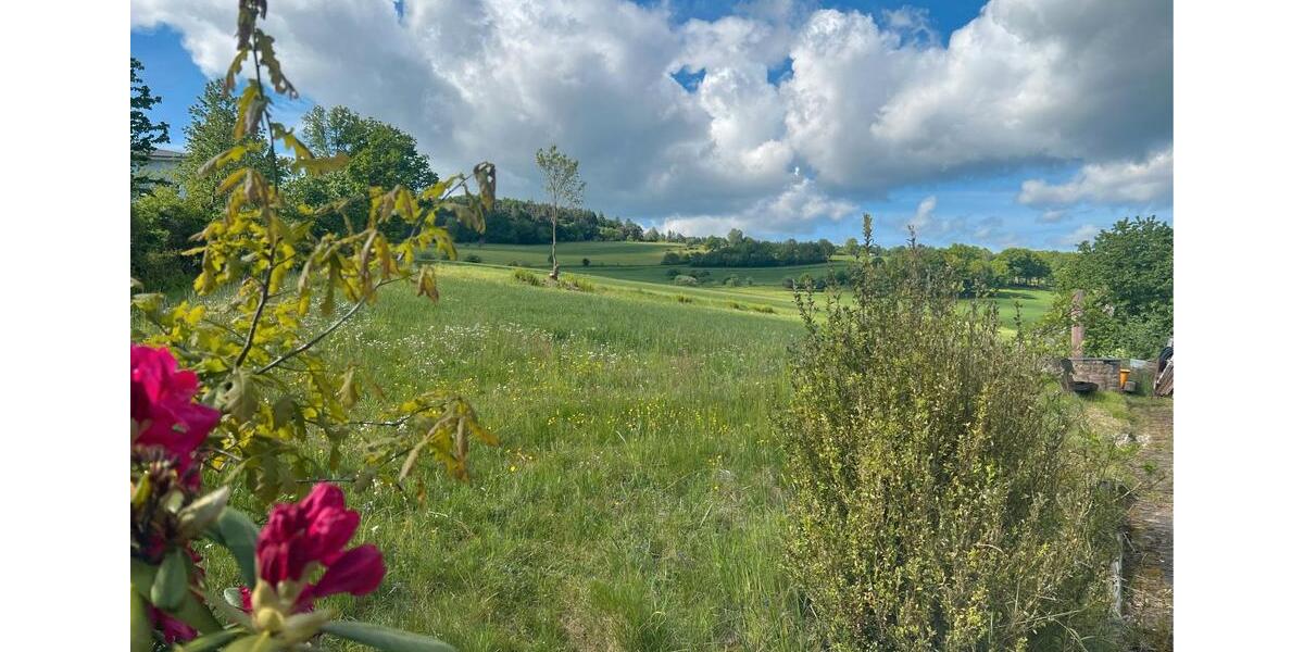 Einfamilienhaus Steinau an der Straße - 8 Zimmer, 1.985 m&sup2;, 169.000&euro; | Angebot:26987345