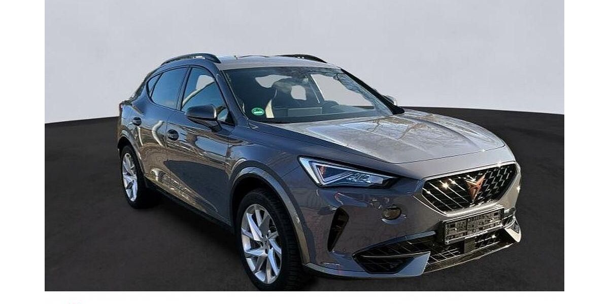 Cupra Formentor 59.150 km 28.990 &euro; Bad Schwartau 23611