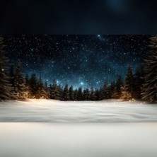 Candlelight zur Weihnachtszeit 12.12.2026 Wild-Lounge