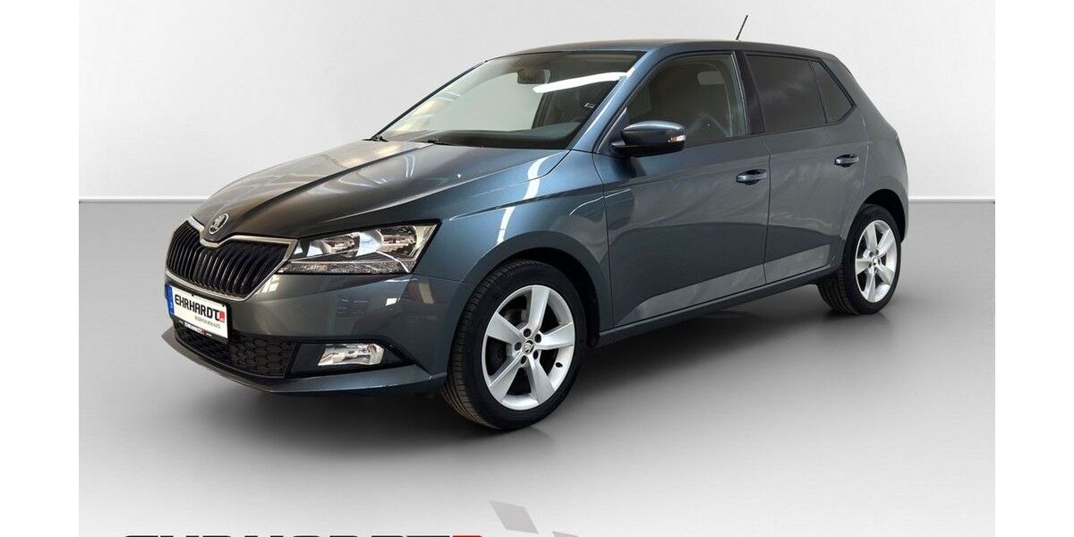 Skoda Fabia 78.000 km 11.250 &euro; Suhl 98529