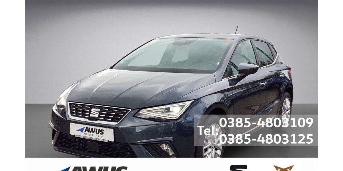 Seat Ibiza 12.500 km 22.490 &euro; Schwerin 19057