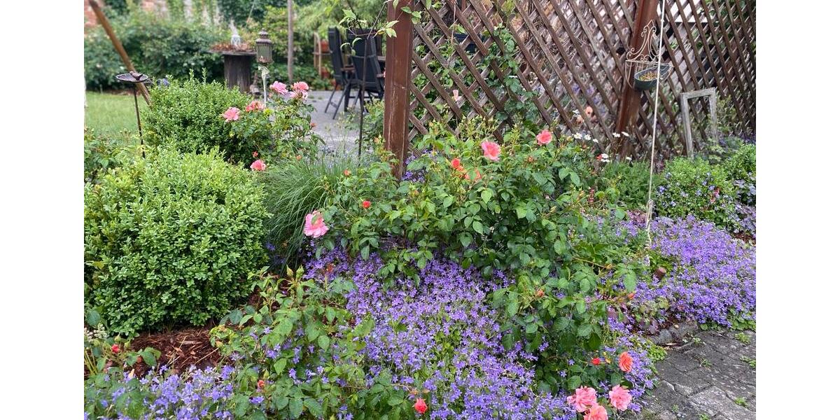 charmantes EFH in WustrowWendland von privat z. verkaufen 5.5 zimmer