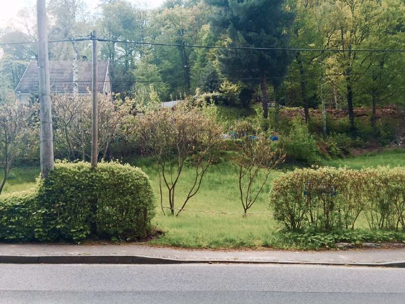 Grundstück zu verkaufen in Tharandt 89.000 € 620 m² zimmer