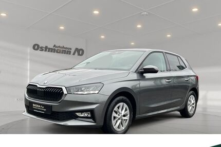 Skoda Fabia 49.832 km 18.770 &euro; Niestetal 34266