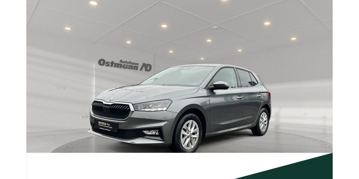 Skoda Fabia 49.832 km 18.770 &euro; Niestetal 34266