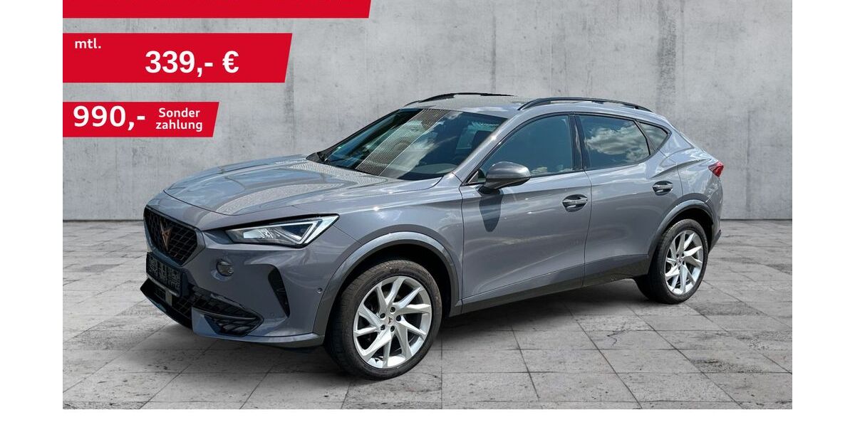 Cupra Formentor 116.866 km 27.930 &euro; Hof 95030