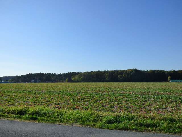 Grundstück zu verkaufen in Kloster Lehnin 109.000 € 996 m²