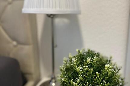 Wohnung Mannheim Niederfeld - 1 Zimmer, 25 m&sup2;, 625&euro; | Angebot:25045527