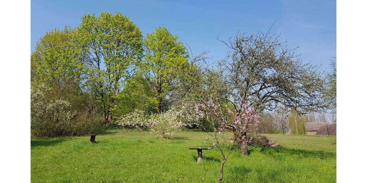 Grundstück Werder (Havel) OT Leest Leest - 953.000&euro; | Angebot:27032407