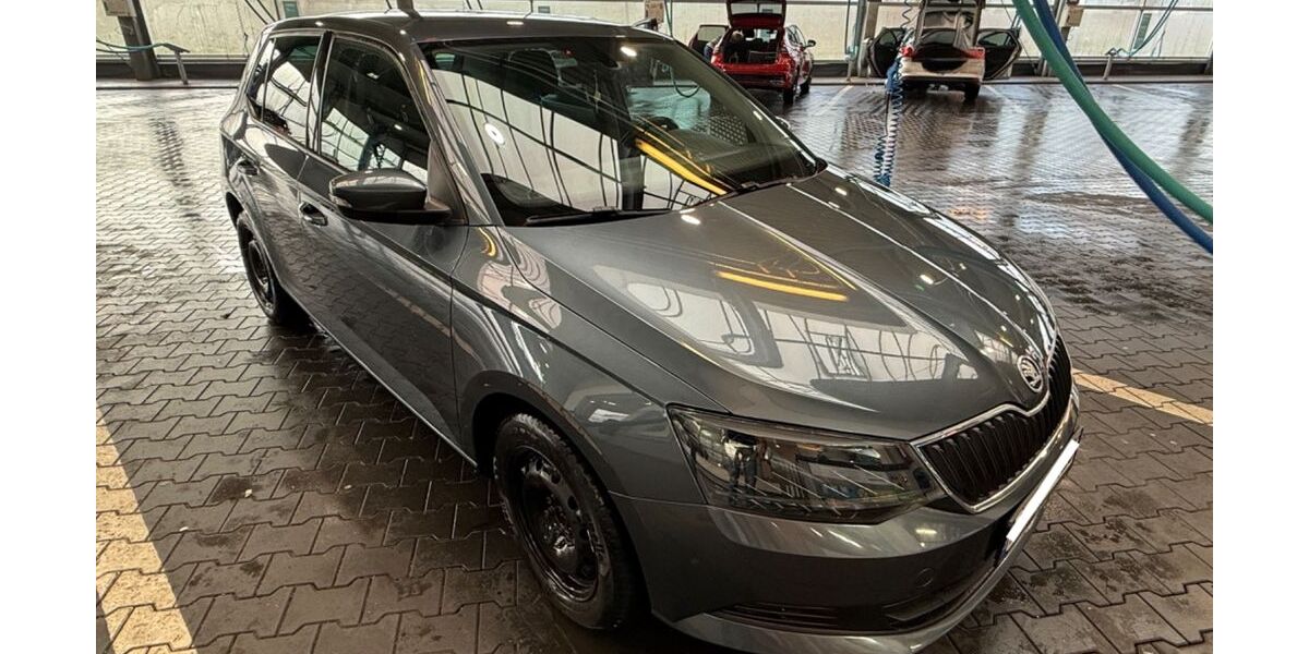 Skoda Fabia 136.636 km 9.500 &euro; Hahnbach 92256