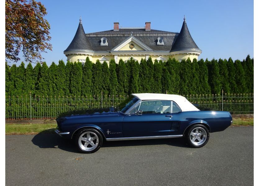 Mustang