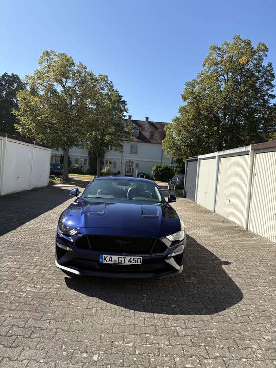 Mustang