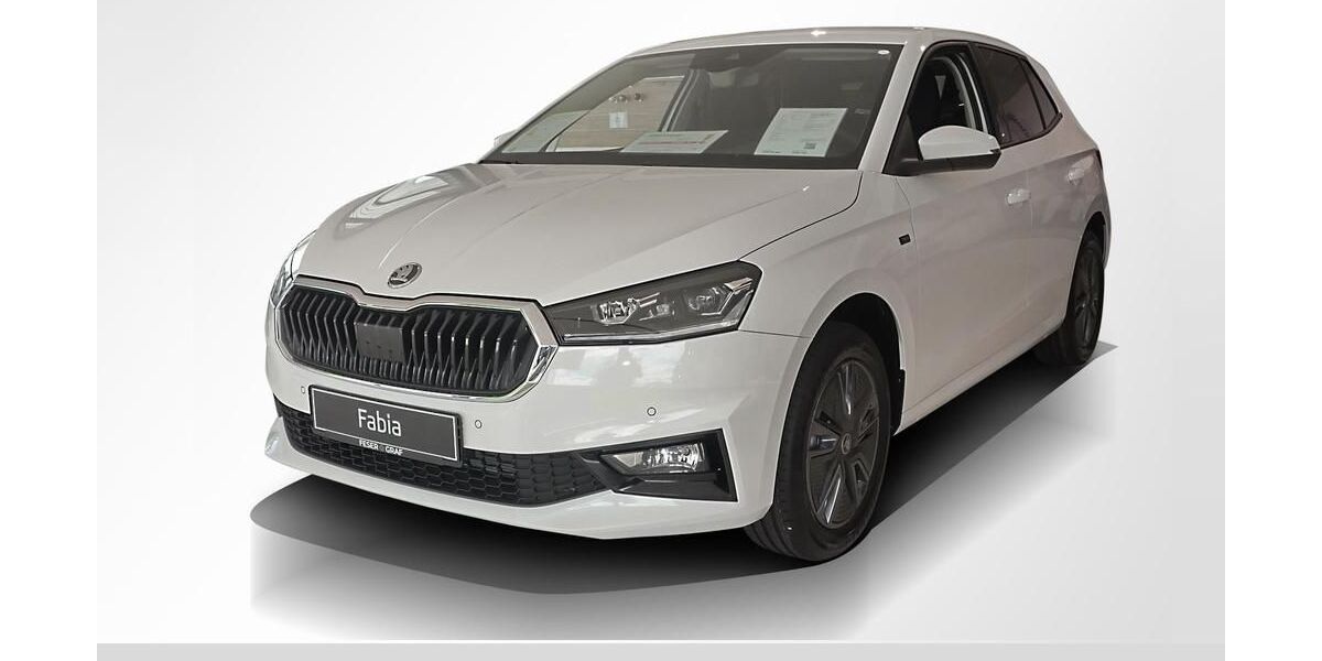 Skoda Fabia 10.000 km 20.490 € Forchheim 91301