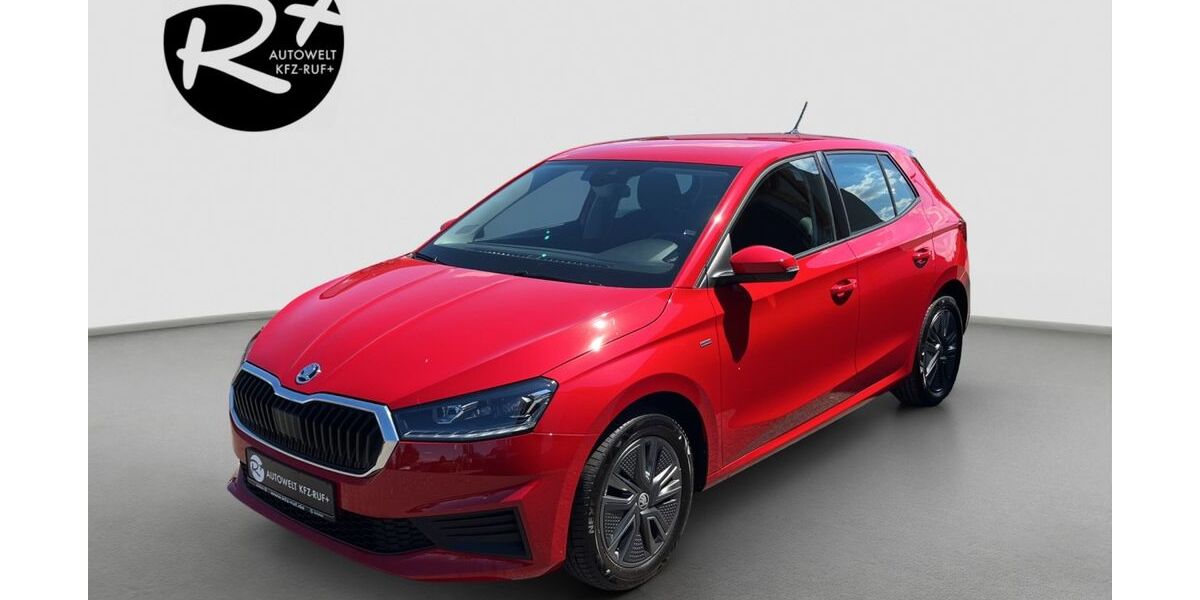 Skoda Fabia 22.000 km 17.880 &euro; Meckesheim 74909
