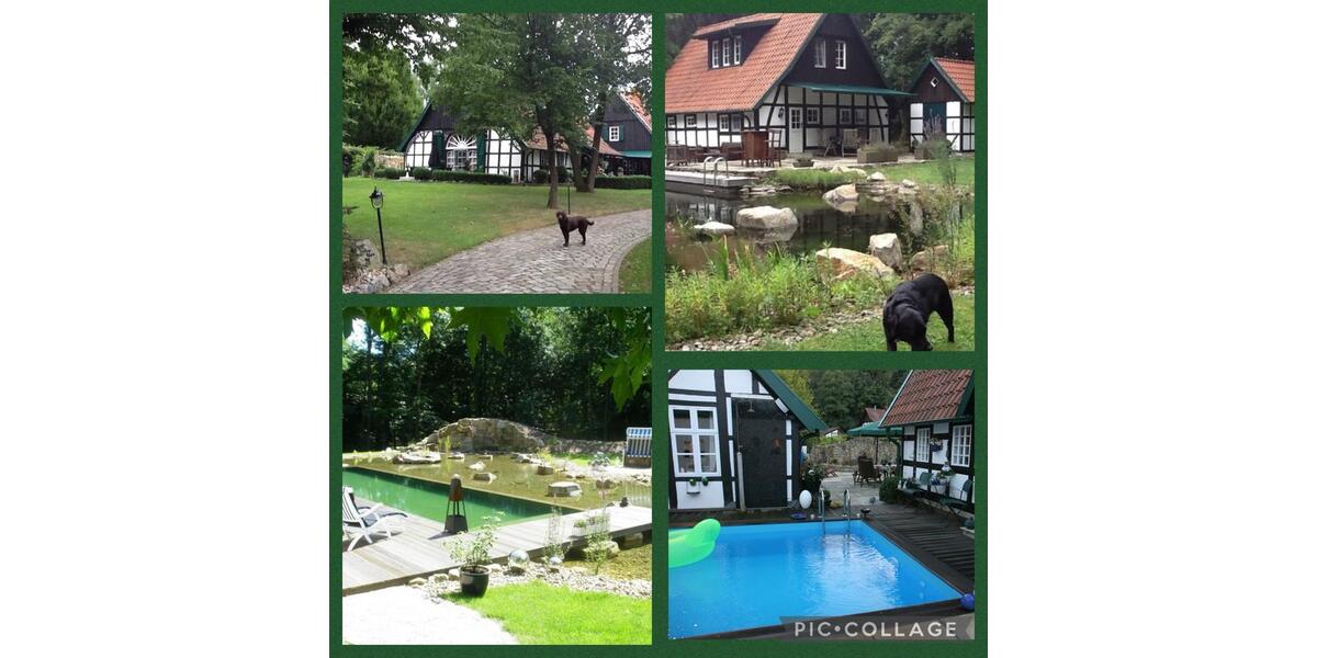 Einfamilienhaus Westerkappeln - 9 Zimmer, 360 m&sup2;, 1.250.000&euro; | Angebot:24816160