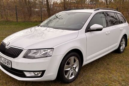 Skoda Octavia 123.500 km 11.600 € Trebbin 14959