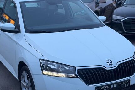 Skoda Fabia 96.000 km 8.499 &euro; Gundelsheim 74831