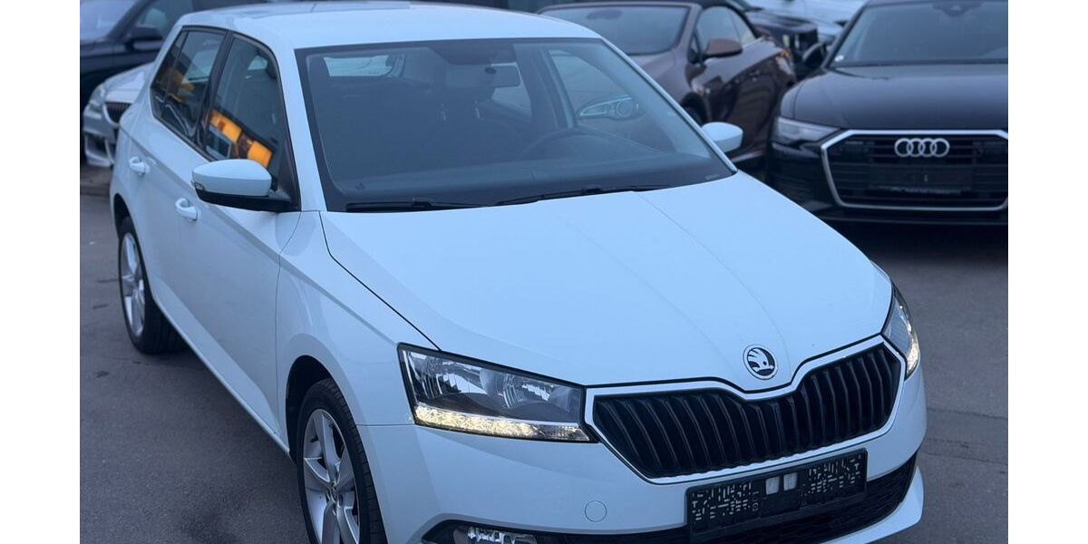 Skoda Fabia 96.000 km 8.499 &euro; Gundelsheim 74831