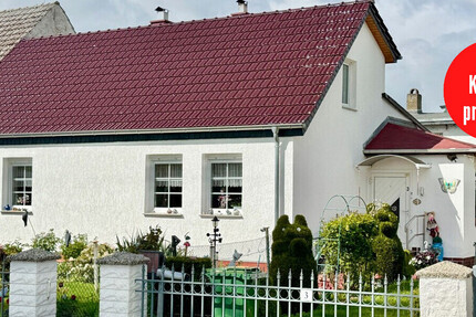 HORN IMMOBILIEN ++ gemütliches Haus in Strasburg (Uckermark) zu verkaufen - Haus Strasburg | Angebot:26704799