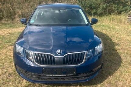 Skoda Octavia 160.853 km 10.500 &euro; Nienburg 31582