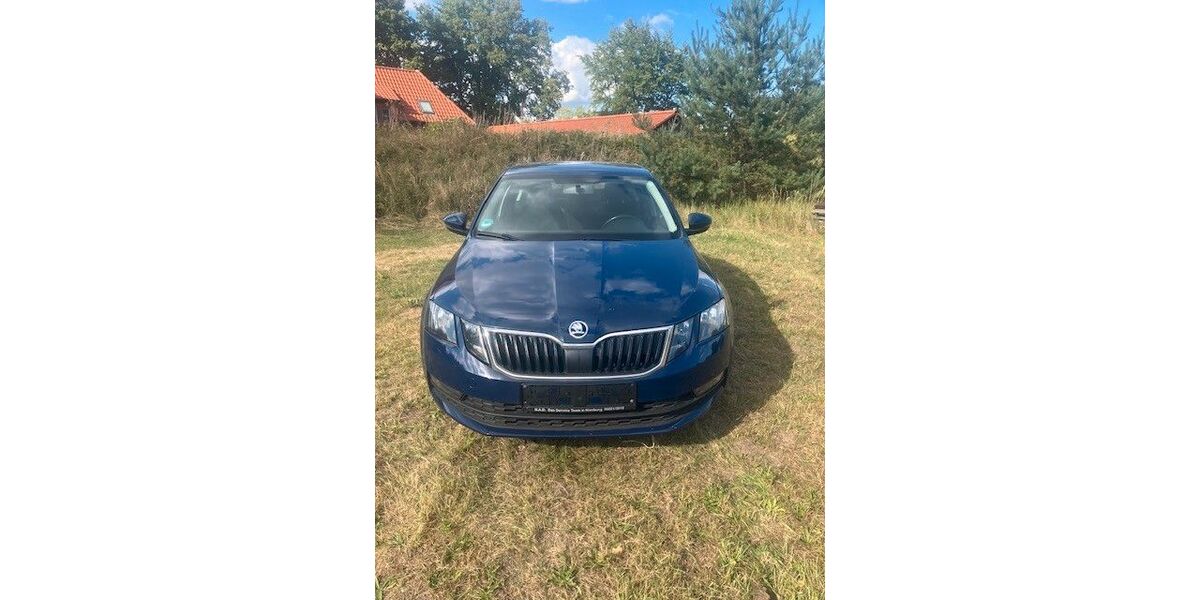 Skoda Octavia 160.853 km 10.500 &euro; Nienburg 31582