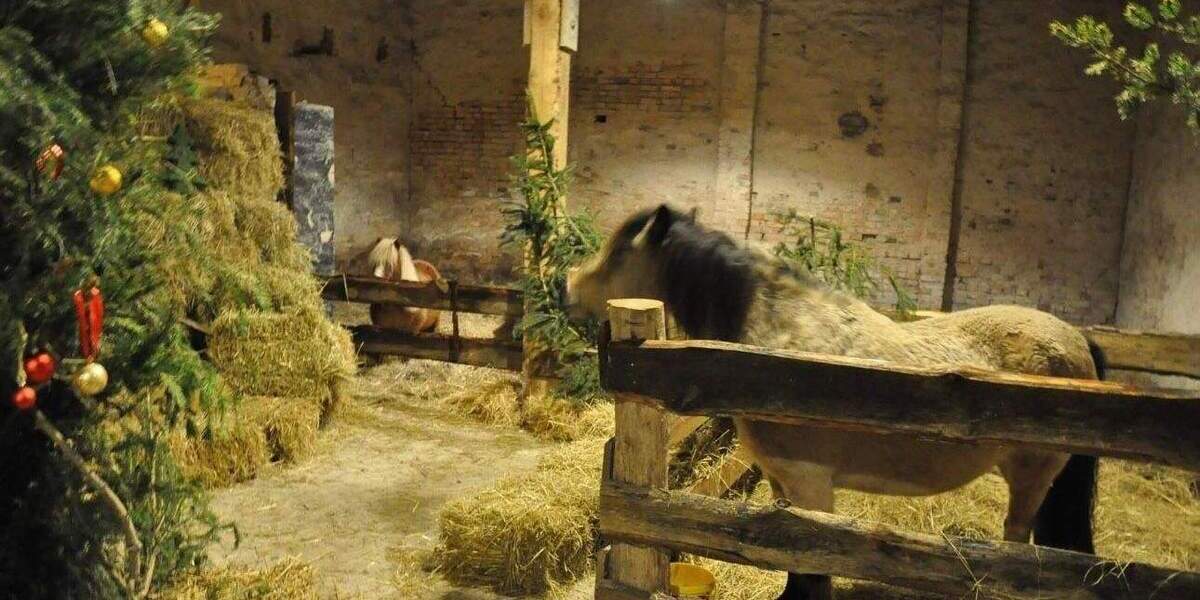 Bauernhaus, Landhaus Kleinzerlang Kleinzerlang - 1 Zimmer, 389 m&sup2;, 860.000&euro; | Angebot:25803133