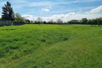 Grundstück zu verkaufen in Vettweiß 298.000 € 1450 m²