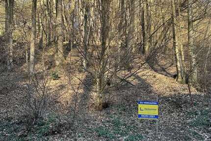 Grundstück Bad Bergzabern-Blankenborn Blankenborn - 80.000&euro; | Angebot:19151508