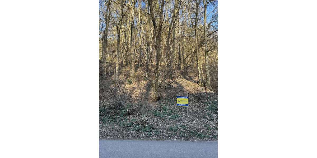 Grundstück Bad Bergzabern-Blankenborn Blankenborn - 80.000&euro; | Angebot:19151508