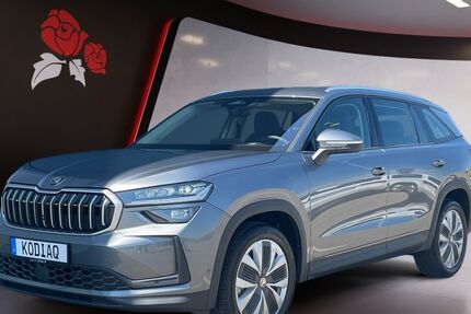 Skoda Kodiaq 2.502 km 47.749 &euro; Donaueschingen 78166