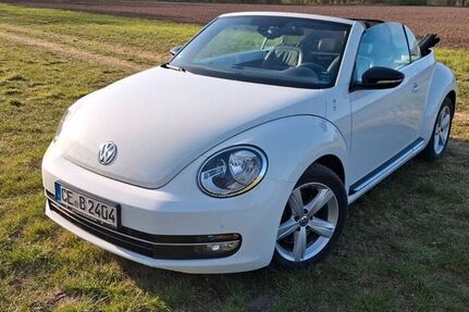 VW Beetle
