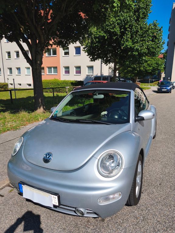 Beetle