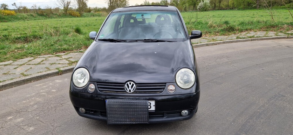 Lupo