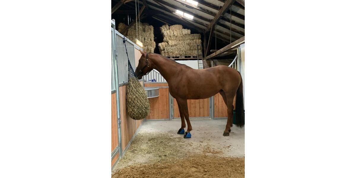 Gewerbeobjekt Jork - 420&euro; | Angebot:24317670