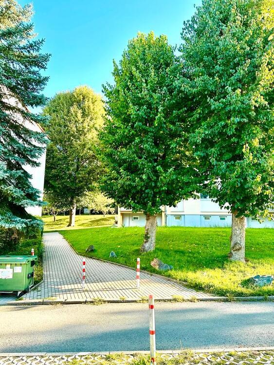 Ruhig und sonnig gelegene voll möblierte 3 Z-Wohnung mit Balkon