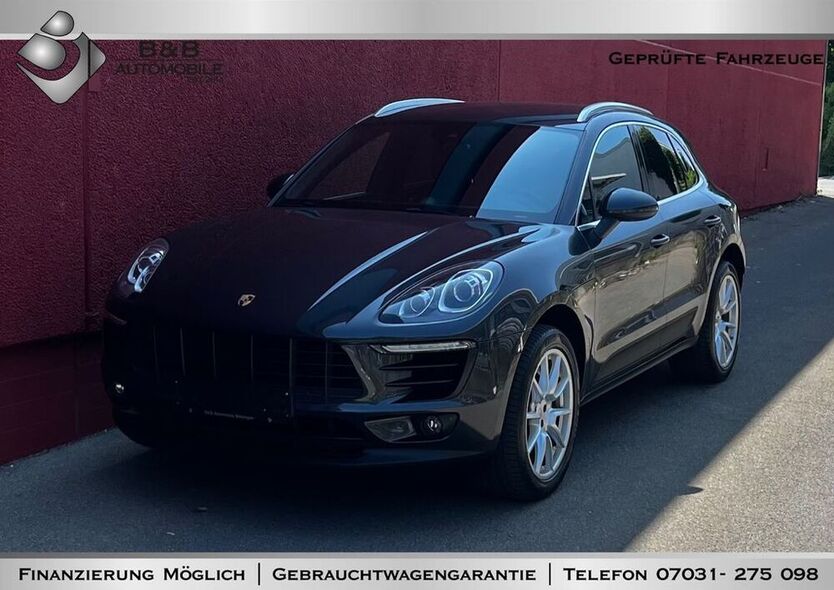 Macan