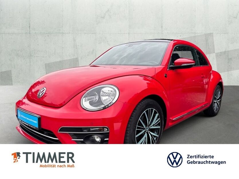 Beetle